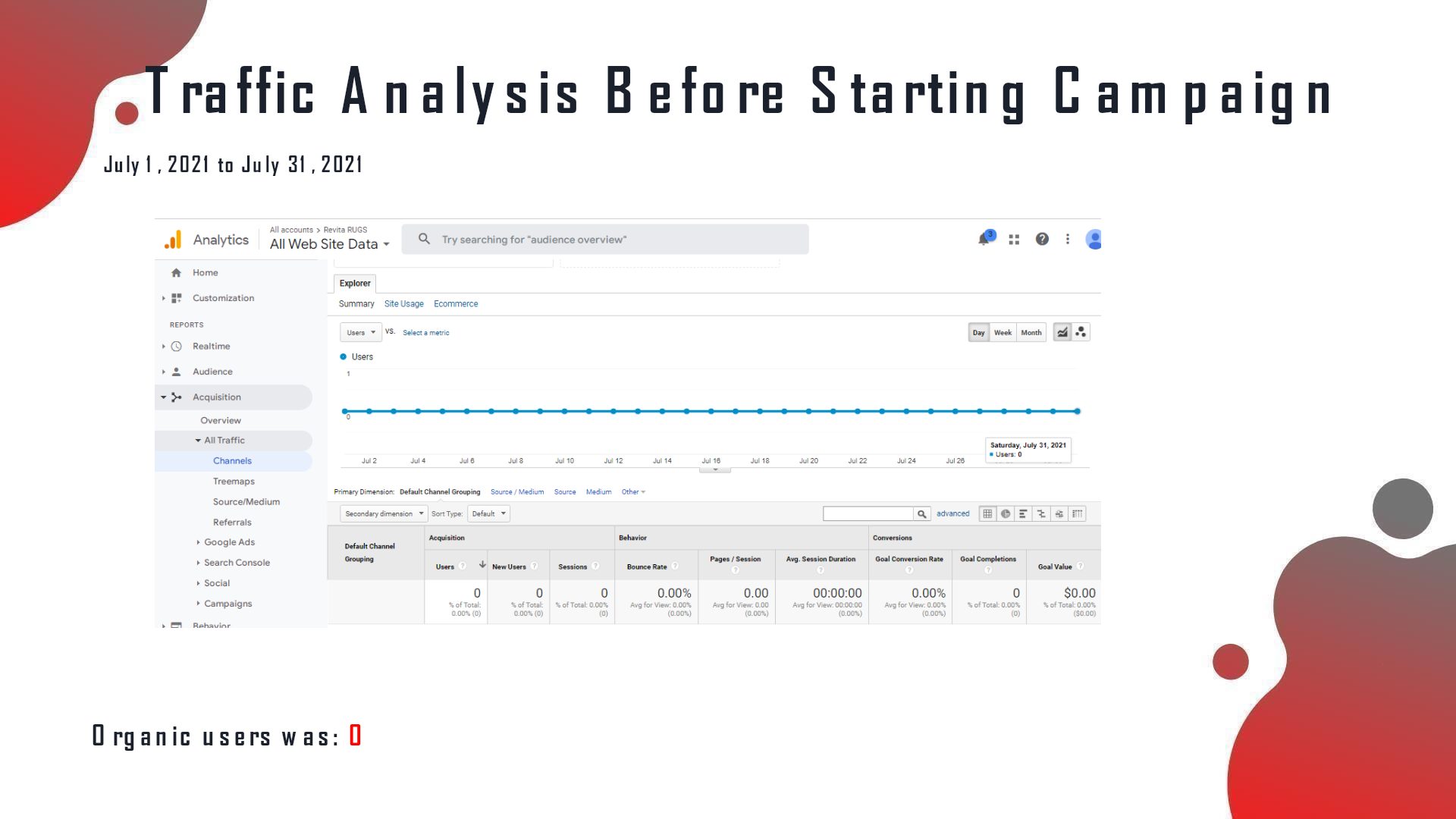 Revita Rugs analytics before the SEO campaign